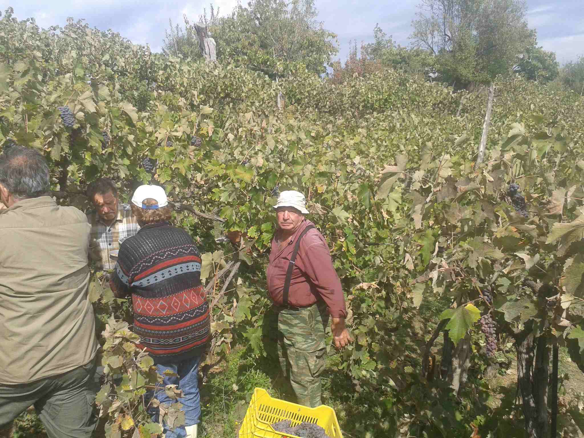 20161007_122524_easy-resize-com