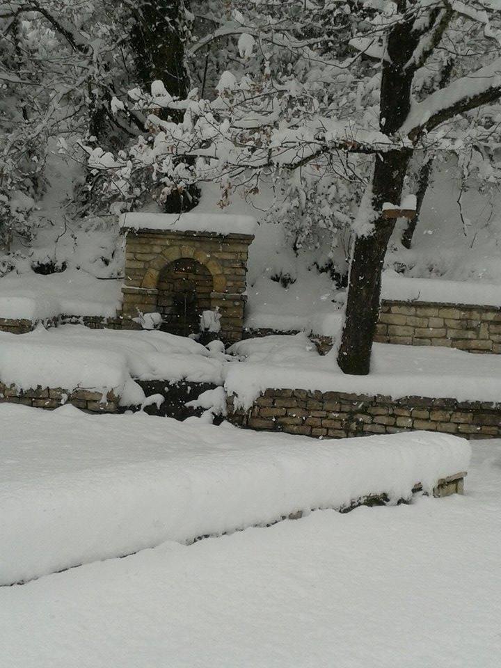 15871886_682077395305237_4652078226127576716_n