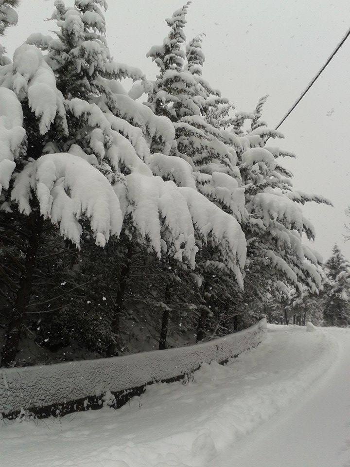 15873087_682077451971898_8276511242752156812_n