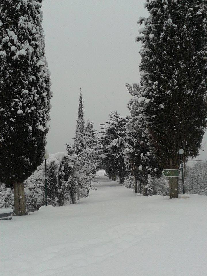 15873293_682077611971882_8067471276845395407_n