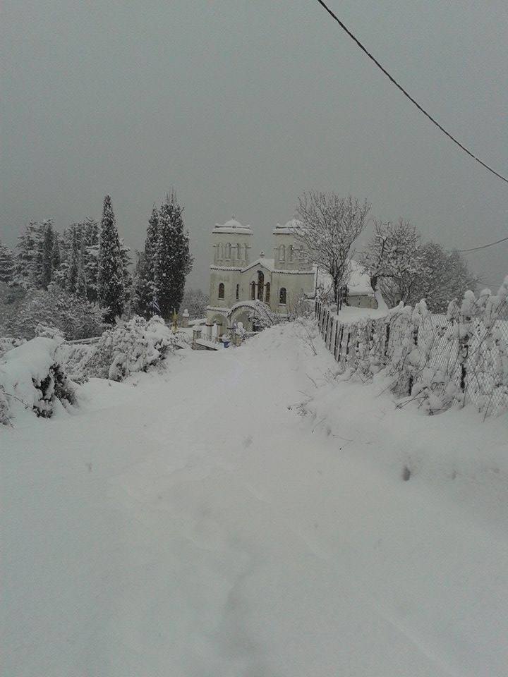 15894643_682077581971885_458575239131537881_n