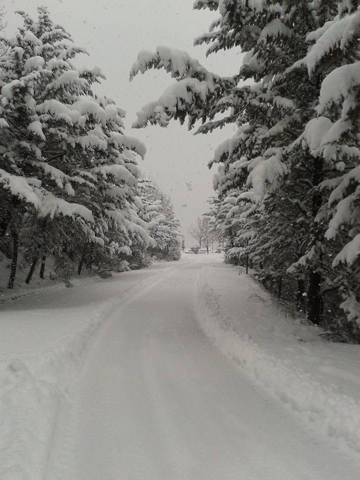 15895033_682077565305220_3931962345118142728_n