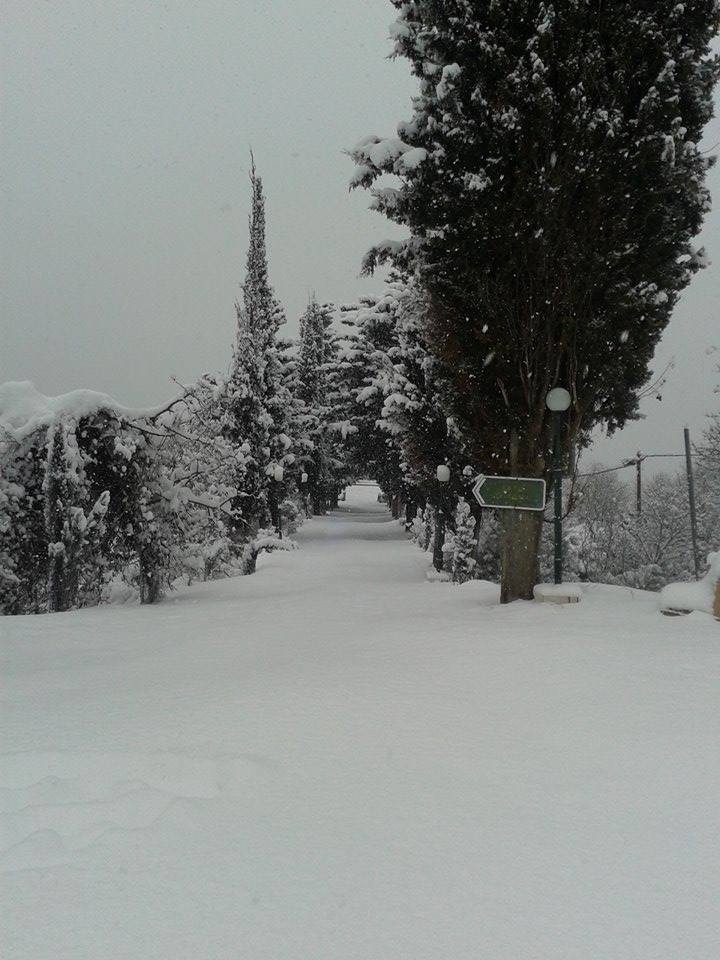 15895180_682077738638536_1078219413120097197_n