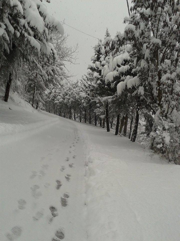 15895354_682077521971891_1688123134885104450_n